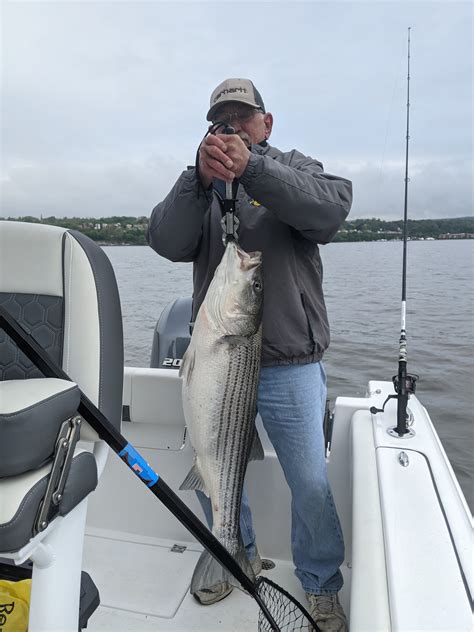 2022 Striper Reports .